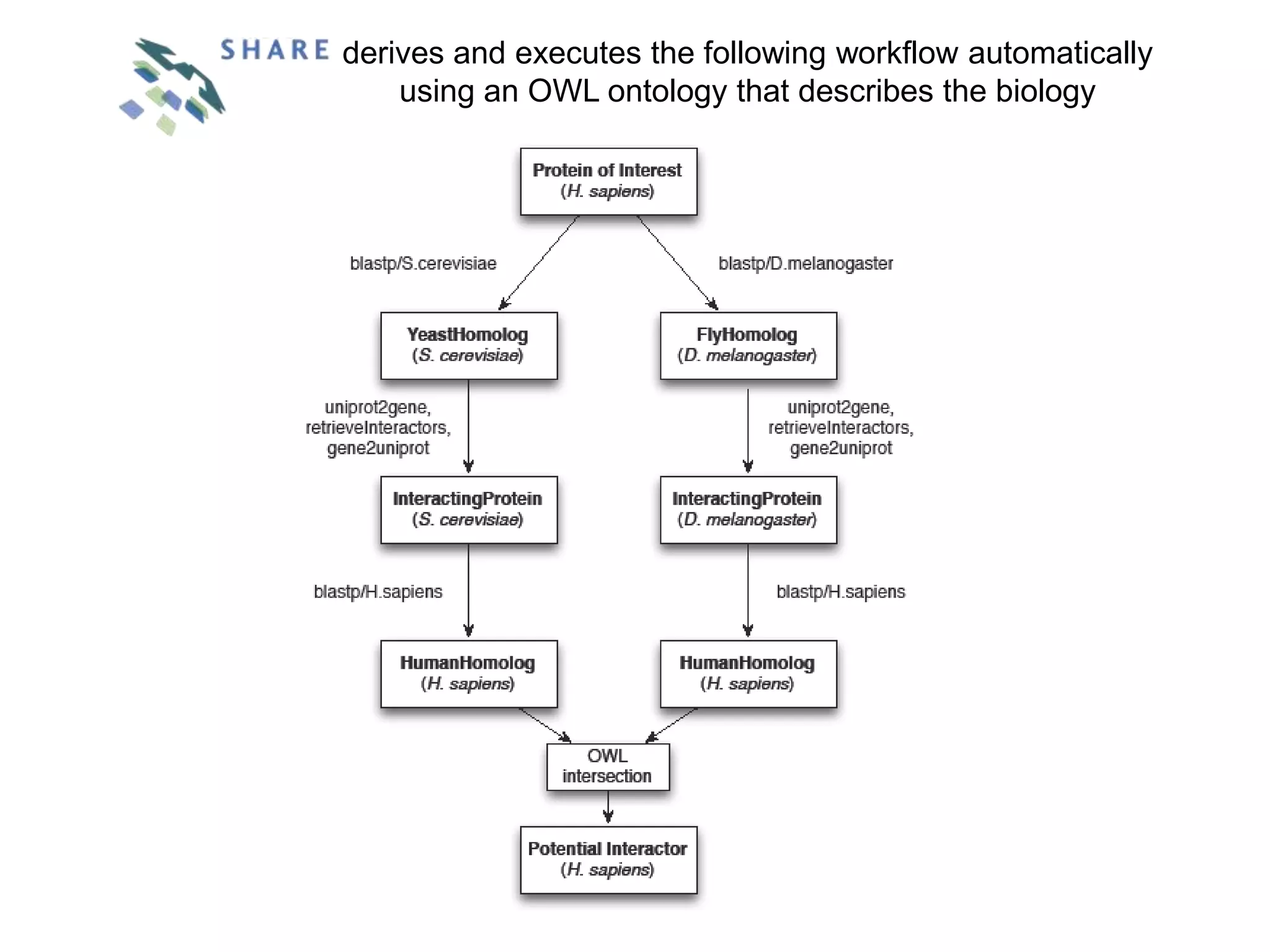 derives and executes the following workflow automatically
    using an OWL ontology that describes the biology
 