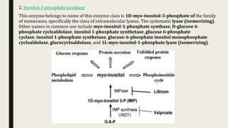 Isomerases | PPTX