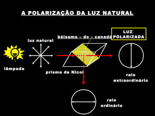 A POLARIZAÇÃO DA LUZ NATURAL
lâmpada
luz natural
prisma de Nicol
bálsamo – do – canadá
raio
extraordinário
raio
ordinário
LUZ
POLARIZADA
 