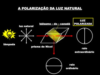 A POLARIZAÇÃO DA LUZ NATURAL
lâmpada
luz natural
prisma de Nicol
bálsamo – do – canadá
raio
extraordinário
raio
ordinário
LUZ
POLARIZADA
 