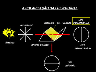 A POLARIZAÇÃO DA LUZ NATURAL lâmpada luz natural prisma de Nicol bálsamo – do – Canadá raio extraordinário raio ordinário LUZ  POLARIZADA 