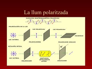 La llum polaritzada
 