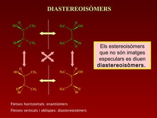 DIASTEREOISÒMERS
C
C
HO CH3
CH3Br
H
H
C
C
OHH3C
H3C Br
H
H
C
C
HO CH3
CH3H
H
Br
C
C
OHH3C
H3C H
H
Br
Fletxes horitzontals: enantiòmers
Fletxes verticals i oblíqües: diastereoisòmers
Els estereoisòmers
que no són imatges
especulars es diuen
diastereoisòmers.
 