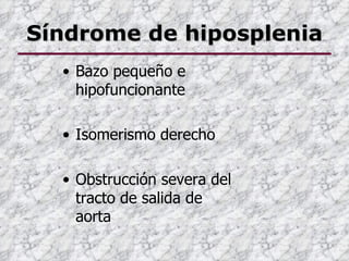 Síndrome de hiposplenia
  • Bazo pequeño e
    hipofuncionante

  • Isomerismo derecho

  • Obstrucción severa del
    tracto de salida de
    aorta
 