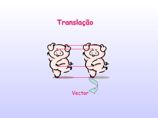 Vector Translação 