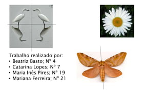 Trabalho realizado por:
• Beatriz Basto; Nº 4
• Catarina Lopes; Nº 7
• Maria Inês Pires; Nº 19
• Mariana Ferreira; Nº 21
 