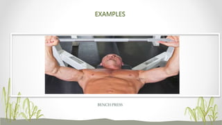 EXAMPLES
BENCH PRESS
Bench Press
 