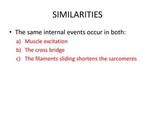 SIMILARITIES
• The same internal events occur in both:
a) Muscle excitation
b) The cross bridge
c) The filaments sliding shortens the sarcomeres
 