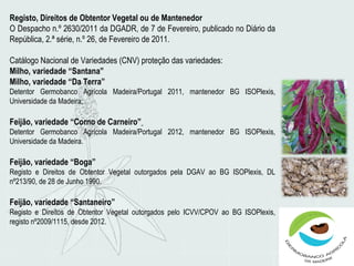 Registo, Direitos de Obtentor Vegetal ou de Mantenedor
O Despacho n.º 2630/2011 da DGADR, de 7 de Fevereiro, publicado no Diário da
República, 2.ª série, n.º 26, de Fevereiro de 2011.
Catálogo Nacional de Variedades (CNV) proteção das variedades:
Milho, variedade “Santana”
Milho, variedade “Da Terra”
Detentor Germobanco Agrícola Madeira/Portugal 2011, mantenedor BG ISOPlexis,
Universidade da Madeira;
Feijão, variedade “Corno de Carneiro”
Detentor Germobanco Agrícola Madeira/Portugal 2012, mantenedor BG ISOPlexis,
Universidade da Madeira.
Feijão, variedade “Boga”
Registo e Direitos de Obtentor Vegetal outorgados pela DGAV ao BG ISOPlexis, DL
nº213/90, de 28 de Junho 1990.
Feijão, variedade “Santaneiro”
Registo e Direitos de Obtentor Vegetal outorgados pelo ICVV/CPOV ao BG ISOPlexis,
registo nº2009/1115, desde 2012.
 