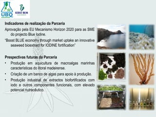 Indicadores de realização da Parceria
Aprovação pela EU Mecanismo Horizon 2020 para as SME
do projecto Blue Iodine.
“Boost BLUE economy through market uptake an innovative
seaweed bioextract for IODINE fortification”
Prespectivas futuras da Parceria
• Produção em aquicultura de macroalgas marinhas
características do litoral madeirense.
• Criação de um banco de algas para apoio à produção.
• Produção industrial de extractos biofortificados com
iodo e outros componentes funcionais, com elevado
potencial nutracêutico.
 