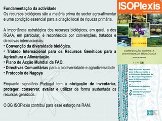 Fundamentação da actividade
Os recursos biológicos são a matéria prima do sector agro-alimentar
e uma condição essencial para a criação local de riqueza primária.
A importância estratégica dos recursos biológicos, em geral, e dos
RGAA, em particular, é reconhecida por convenções, tratados e
directivas internacionais:
• Convenção da diversidade biológica.
• Tratado Internacional para os Recursos Genéticos para a
Agricultura e Alimentação.
• Plano de Acção Mundial da FAO.
• Directivas Comunitárias para a biodiversidade e agrodiversidade
• Protocolo de Nagoya
Enquanto signatário Portugal tem a obrigação de inventariar,
proteger, conservar, avaliar e utilizar de forma sustentada os
recursos genéticos.
O BG ISOPlexis contribui para esse esforço na RAM.
 