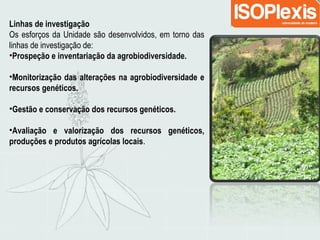 Linhas de investigação
Os esforços da Unidade são desenvolvidos, em torno das
linhas de investigação de:
•Prospeção e inventariação da agrobiodiversidade.
•Monitorização das alterações na agrobiodiversidade e
recursos genéticos.
•Gestão e conservação dos recursos genéticos.
•Avaliação e valorização dos recursos genéticos,
produções e produtos agrícolas locais.
 