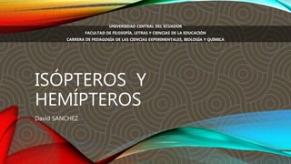 ISÓPTEROS Y
HEMÍPTEROS
David SANCHEZ
UNIVERSIDAD CENTRAL DEL ECUADOR
FACULTAD DE FILOSOFÍA, LETRAS Y CIENCIAS DE LA EDUCACIÓN
CARRERA DE PEDAGOGÍA DE LAS CIENCIAS EXPERIMENTALES, BIOLOGÍA Y QUÍMICA
 
