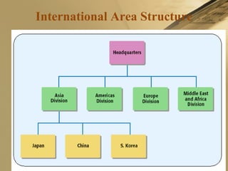 International Area Structure
 