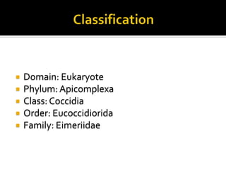 





Domain: Eukaryote
Phylum: Apicomplexa
Class: Coccidia
Order: Eucoccidiorida
Family: Eimeriidae

 