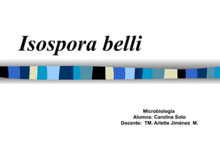 Isospora belli Microbiología  Alumna: Carolina Soto Docente:  TM. Arlette Jiménez  M. 