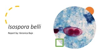 Isospora belli
Report by: Veronica Baje
 