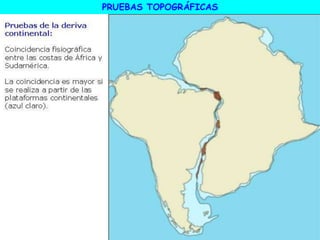 PRUEBAS TOPOGRÁFICAS
 