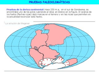PRUEBAS PALEOCLIMÁTICAS
 