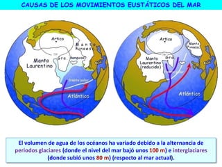 El volumen de agua de los océanos ha variado debido a la alternancia de
periodos glaciares (donde el nivel del mar bajó unos 100 m) e interglaciares
(donde subió unos 80 m) (respecto al mar actual).
CAUSAS DE LOS MOVIMIENTOS EUSTÁTICOS DEL MAR
 