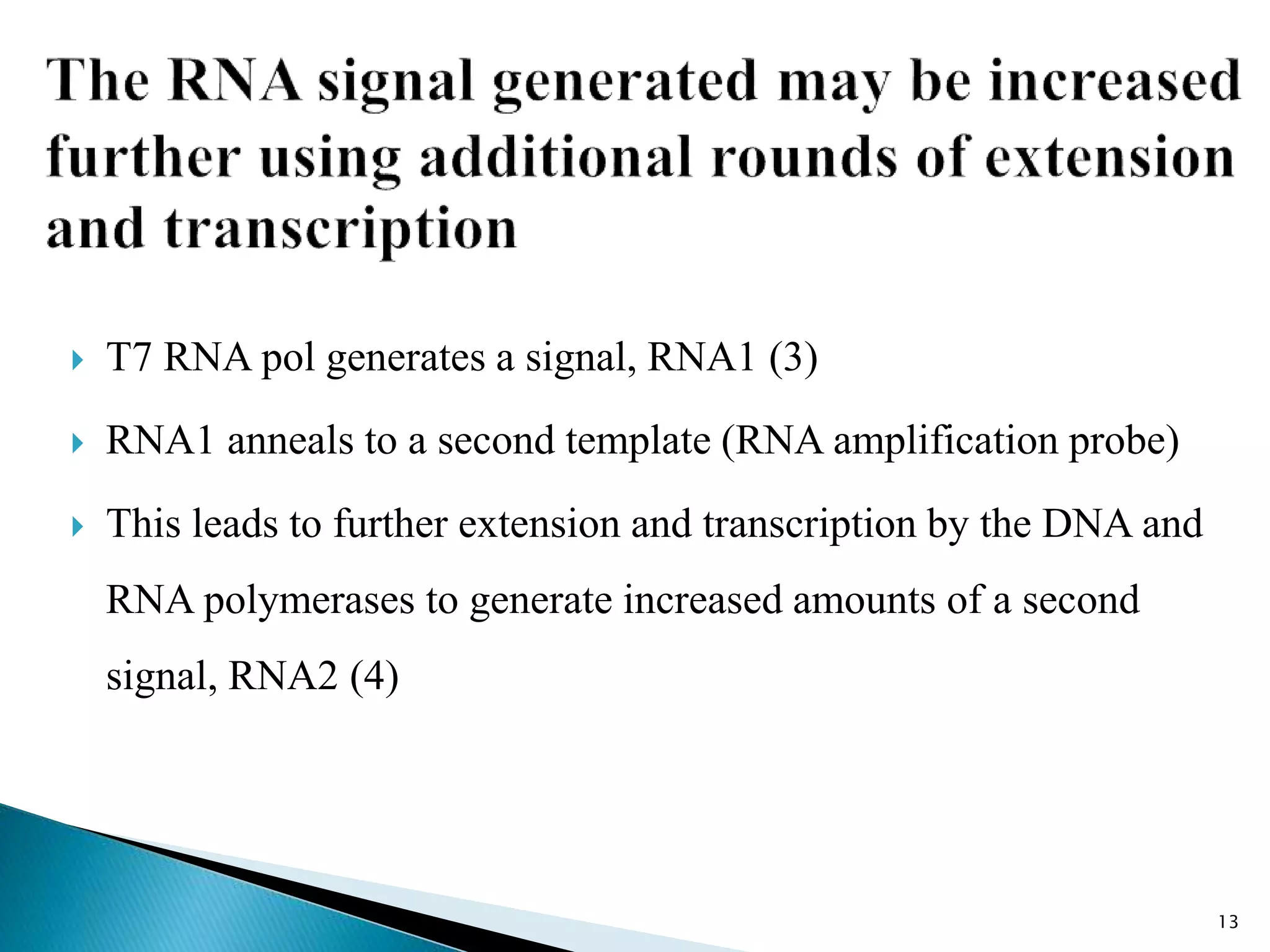  T7 RNA pol generates a signal, RNA1 (3)
 RNA1 anneals to a second template (RNA amplification probe)
 This leads to further extension and transcription by the DNA and
RNA polymerases to generate increased amounts of a second
signal, RNA2 (4)
13
 