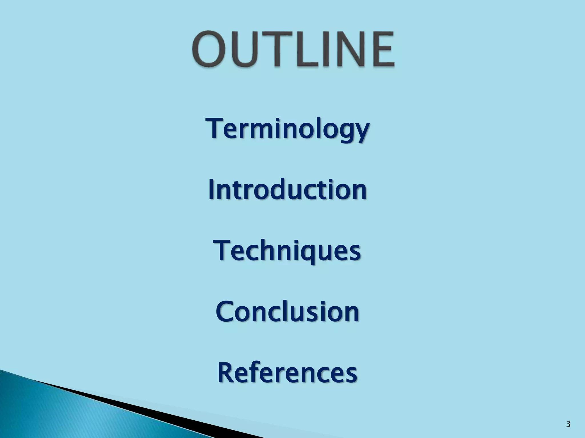 Terminology
Introduction
Techniques
Conclusion
References
3
 