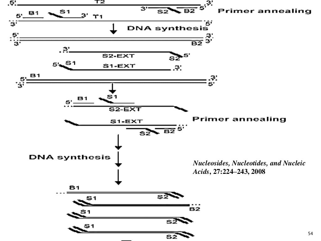 Isothermal Nucleic Acid Amplification Techniques