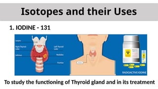 Isotopes and their Uses
1. IODINE - 131
To study the functioning of Thyroid gland and in its treatment
 