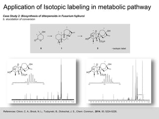 Application of Isotopic labeling in metabolic pathway
References: Citron, C. A.; Brock, N. L.; Tudzynski, B.; Dickschat, J. S., Chem. Commun., 2014, 50, 5224-5226.
Case Study 2: Biosynthesis of diterpenoids in Fusarium fujikuroi
b. elucidation of conversion
 