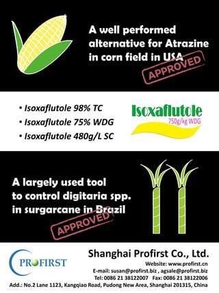 A largely used tool
to control digitaria spp.
in surgarcane in Brazil
A well performed
alternative for Atrazine
in corn field in USA
Website: www.profirst.cn
E-mail: susan@profirst.cn , agsale@profirst.biz
Tel: 0086 21 38122007 Fax: 0086 21 38122006
Add.: No.2 Lane 1123, Kangqiao Road, Pudong New Area, Shanghai 201315, China
Shanghai Profirst Co., Ltd.
• Isoxaflutole 98% TC
• Isoxaflutole 75% WDG
• Isoxaflutole 480g/L SC
 
