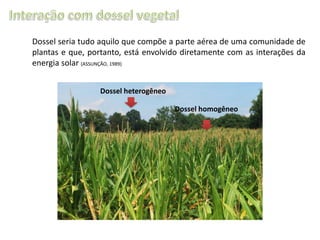 Dossel seria tudo aquilo que compõe a parte aérea de uma comunidade de
plantas e que, portanto, está envolvido diretamente com as interações da
energia solar (ASSUNÇÃO, 1989)
Dossel heterogêneo
Dossel homogêneo

 
