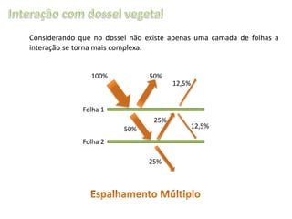 Considerando que no dossel não existe apenas uma camada de folhas a
interação se torna mais complexa.

100%

50%

12,5%

Folha 1
25%
50%
Folha 2
25%

12,5%

 