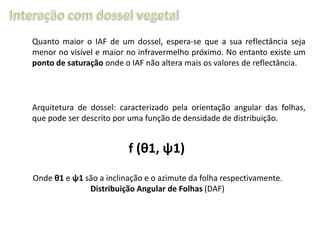 Quanto maior o IAF de um dossel, espera-se que a sua reflectância seja
menor no visível e maior no infravermelho próximo. No entanto existe um
ponto de saturação onde o IAF não altera mais os valores de reflectância.

Arquitetura de dossel: caracterizado pela orientação angular das folhas,
que pode ser descrito por uma função de densidade de distribuição.

f (θ1, ψ1)
Onde θ1 e ψ1 são a inclinação e o azimute da folha respectivamente.
Distribuição Angular de Folhas (DAF)

 