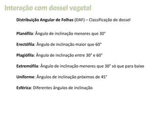 Distribuição Angular de Folhas (DAF) – Classificação de dossel
Planófila: Ângulo de inclinação menores que 30°
Erectófila: Ângulo de inclinação maior que 60°
Plagiófila: Ângulo de inclinação entre 30° e 60°
Extremófila: Ângulo de inclinação menores que 30° só que para baixo
Uniforme: Ângulos de inclinação próximos de 45°
Esférica: Diferentes ângulos de inclinação

 