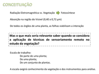 Radiação Eletromagnética vs. Vegetação

Fotossíntese

Absorção na região do Visivel (0,40 a 0,72 µm)
De todos os órgãos de uma planta, as folhas viabilizam a interação

Mas o que mais seria relevante saber quando se considera
a aplicação de técnicas de sensoriamento remoto no
estudo da vegetação?
Escala de trabalho:
De parte de uma planta;
De uma planta;
De um conjunto de plantas.
A escala exigirá conhecimento da vegetação e dos instrumentos para análise.

 