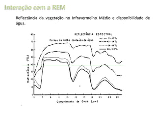 Reflectância da vegetação no Infravermelho Médio e disponibilidade de
água.

 