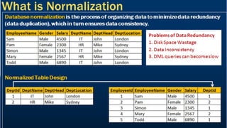 Advanced Normalization | PDF