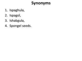 Synonyms
1. Ispaghula,
2. Ispagol,
3. Ishabgula,
4. Spongel seeds.
 