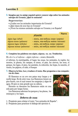 Lección 5
45
5.	Imagina que tu amigo español quiere conocer algo sobre los animales
salvajes de Ucrania. ¿Qué le contarás?
Sugerencias:
• ¿Cuáles son los animales importantes de Ucrania?
• ¿Qué clases de aves hay en Ucrania?
• ¿Viven los mismos animales salvajes en Ucrania y en España?
¡FÍJATE!
algún lago (árbol)	 – якесь, якенебудь озеро (дерево)
alguna mona (palmera)	 – якась, яканебудь мавпа (пальма)
algunos lagos (árboles)	 – якісь, якінебудь озера (дерева)
algunas monas (palmeras)	 – якісь, якінебудь мавпи (пальми)
Nuevo
6.	Completa las palabras con algún, alguna, -os, -as. Tradúcelas.
M o d e l o: el informe – algún informe – якась доповідь
el informe, la enciclopedia, el lugar, las cosas, los animales, la región, los
montes, la planta, los campos, el mono, el país, los ciervos, las aves, el
parque, los lagos, el pino, las postales, la colección, las hojas, la canción, el
viento, los pájaros, el nido, el bosque
7.	Observa la foto. Lee y traduce el texto. Haz preguntas a tus compañe-
ros de clase.
El flamenco es un ave con patas muy largas y el
cuello largo. Es de color rosa. Los flamencos tienen un
pico fuerte, con el cual comen los cangrejos y algas de
agua. El pico es más grande que su cabeza.
Durante su descanso los flamencos están en una
sola pata por largas horas.
Los flamencos adornan los parques y las plazas, los
estanques y los lagos.
Deberes de casa
1.	 Prepárate para relatar el texto “Los animales de España”.
2.	 Prepárate para practicar el diálogo del ejercicio 4.
 