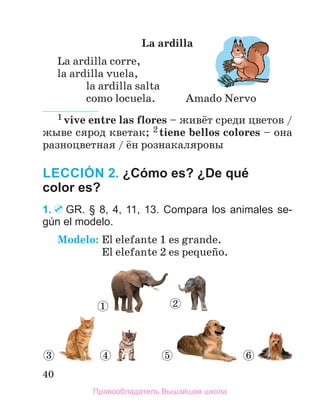 Elefante Ardilla Caballo Azul Ojos Zorro Cuentas Animales Elefante Ardilla Caballo Azul Ojos Zorro Cuentas Animales