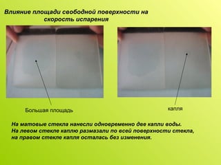 Влияние площади свободной поверхности на скорость испарения Большая площадь капля На матовые стекла нанесли одновременно две капли воды. На левом стекле каплю размазали по всей поверхности стекла,  на правом стекле капля осталась без изменения. 