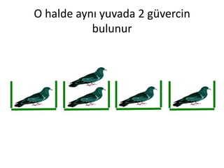 O halde aynı yuvada 2 güvercin
           bulunur
 