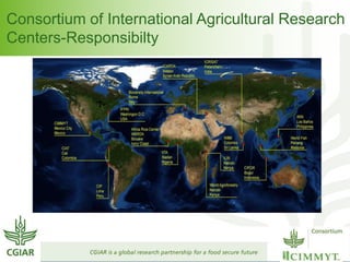 Consortium of International Agricultural Research 
Centers-Responsibilty 
 