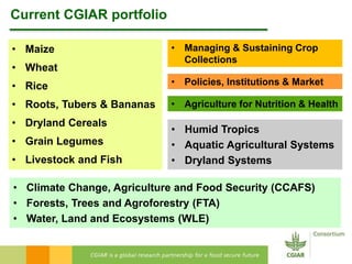 Current CGIAR portfolio 
• Maize 
• Wheat 
• Rice 
• Roots, Tubers & Bananas 
• Dryland Cereals 
• Grain Legumes 
• Livestock and Fish 
• Managing & Sustaining Crop 
Collections 
• Policies, Institutions & Market 
• Agriculture for Nutrition & Health 
• Humid Tropics 
• Aquatic Agricultural Systems 
• Dryland Systems 
• Climate Change, Agriculture and Food Security (CCAFS) 
• Forests, Trees and Agroforestry (FTA) 
• Water, Land and Ecosystems (WLE) 
 