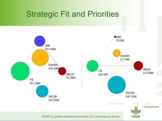 Strategic Fit and Priorities 
 