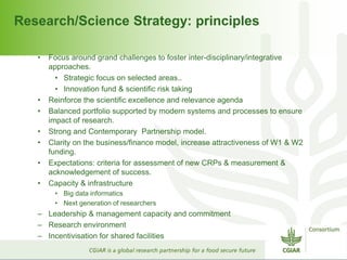 Research/Science Strategy: principles 
• Focus around grand challenges to foster inter-disciplinary/integrative 
approaches. 
• Strategic focus on selected areas.. 
• Innovation fund & scientific risk taking 
• Reinforce the scientific excellence and relevance agenda 
• Balanced portfolio supported by modern systems and processes to ensure 
impact of research. 
• Strong and Contemporary Partnership model. 
• Clarity on the business/finance model, increase attractiveness of W1 & W2 
funding. 
• Expectations: criteria for assessment of new CRPs & measurement & 
acknowledgement of success. 
• Capacity & infrastructure 
• Big data informatics 
• Next generation of researchers 
– Leadership & management capacity and commitment 
– Research environment 
– Incentivisation for shared facilities 
 