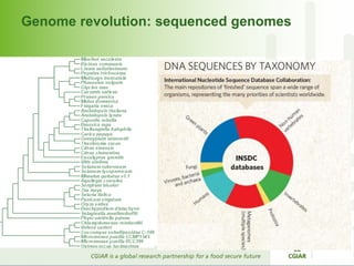 Genome revolution: sequenced genomes 
 