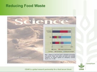 Reducing Food Waste 
 
