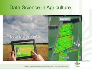 Data Science in Agriculture 
 