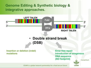 Genome Editing & Synthetic biology & 
integrative approaches. 
5' 
3' 5' 
• Double strand break 
(DSB) 
Insertion or deletion (indel) 
mutations 
FokI 
FokI 
LEFT TALEN 
RIGHT TALEN 
3' 
Error free repair 
Introduction of exogenous 
DNA sequence 
(NO footprint) 
 
